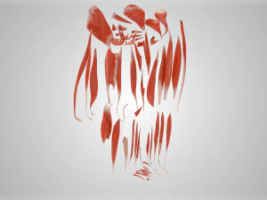 Complete Human leg anatomy 3D Model