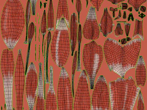 Complete Human leg anatomy 3D Model