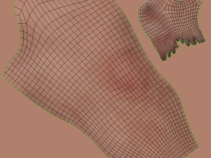 Complete Human leg anatomy Modelo 3D