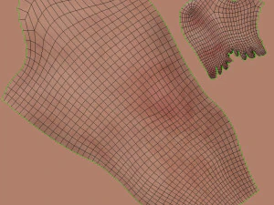 Complete Human leg anatomy 3D Model