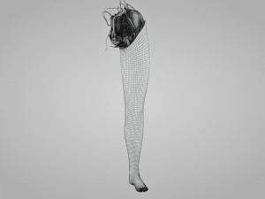 Complete Human leg anatomy Modelo 3D