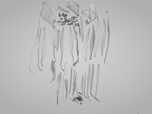 Complete Human leg anatomy Modelo 3D