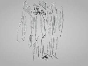 Complete Human leg anatomy 3D Model