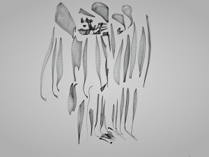 Complete Human leg anatomy Modelo 3D