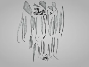 Complete Human leg anatomy 3D Model