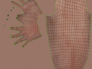 Complete Arm Anatomy Model 3D