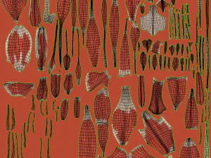 Komplette Armanatomie 3D Modell