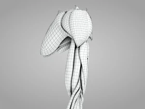 Komplette Armanatomie 3D Modell