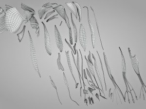 Complete Arm Anatomy Model 3D