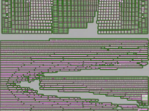 Lymphatic system in body 3D Model