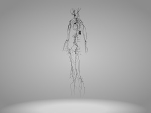Lymphatic system in body 3D Model