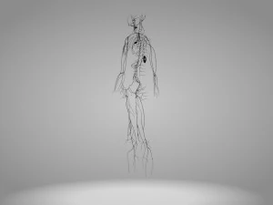 Lymphatic system in body 3D Model
