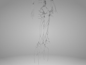 Lymphatic system in body 3D Model