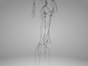 Lymphatic system in body 3D Model