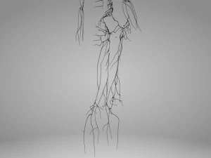 Lymphatic system in body 3D Model