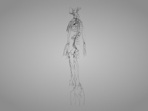 Lymphatic system in body 3D Model