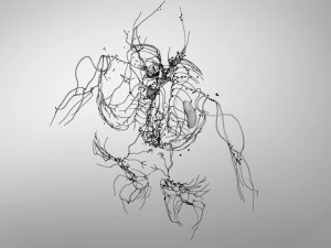 Lymphatic system in body 3D Model