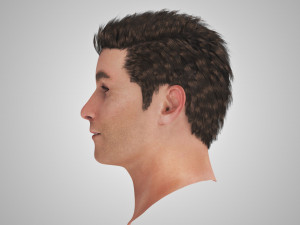 Complete Head Anatomy Modello 3D
