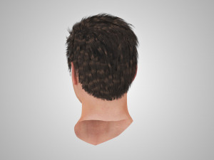 Complete Head Anatomy Modello 3D