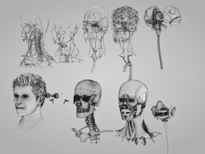 Complete Head Anatomy Modello 3D