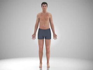 Complete Human Anatomy- Male 3D Model