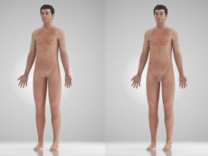 Complete Human Anatomy- Male 3D Модель