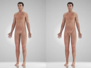 Complete Human Anatomy- Male 3D Model
