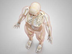 Complete Human Anatomy- Male 3D Модель