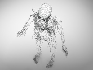 Complete Human Anatomy- Male 3D Модель