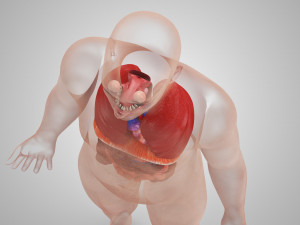 Complete Human Anatomy- Male 3D Модель