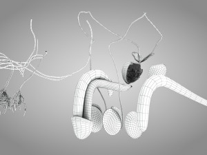 Complete Human Anatomy- Male 3D Модель