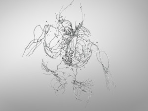 Complete Human Anatomy- Male 3D Модель