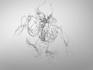 Complete Human Anatomy- Male 3D Model