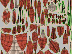 Complete Human Anatomy- Male 3D Модель