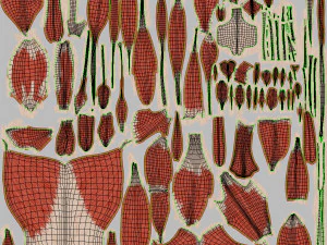 Complete Human Anatomy- Male 3D Model