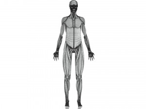 Complete Human Anatomy- Male 3D Модель