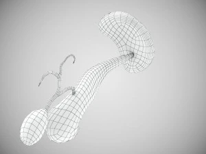 Digestive Organs with Anatomic Cut 3D Model