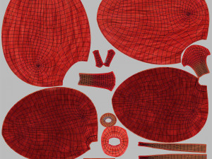 Digestive Organs with Anatomic Cut 3D Model