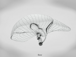 Digestive Organs with Anatomic Cut 3D Model