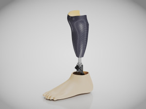 Below knee prosthetics 2 3D Model