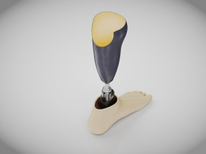 Below knee prosthetics 2 3D Model