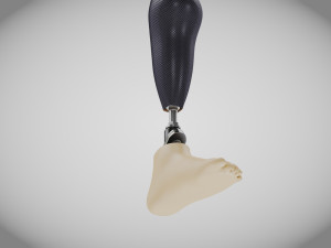 Below knee prosthetics 2 3D Model