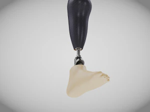 Unterhalb des Knies 2 3D Modell