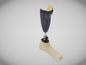 Below knee prosthetics 2 3D Model