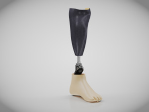 Below knee prosthetics 2 3D Model