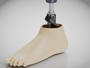Below knee prosthetics 2 3D Model