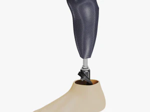 Unterhalb des Knies 2 3D Modell