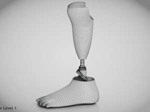 Below knee prosthetics 2 3D Model