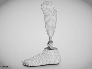 Unterhalb des Knies 2 3D Modell
