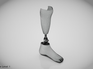 Below knee prosthetics 2 3D Model